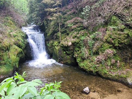 Geroldsauer Wasserfall-Rundweg