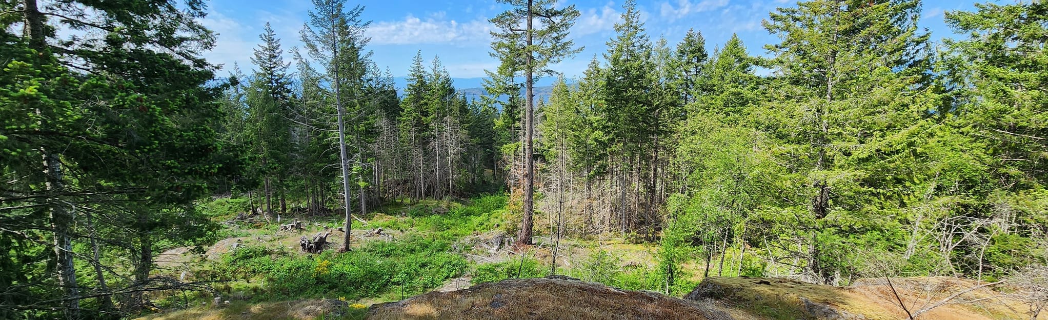 Northwood Trail Enchanted Hill Viewpoint, British Columbia, Canada