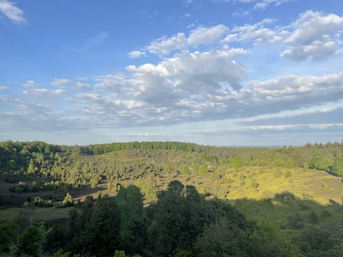 Egestorf - Voßmoor - Wilsede