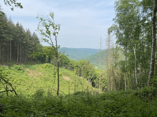Felspassagen an der Rur