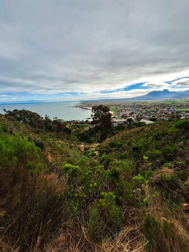 Best Hikes and Trails in Gordons Bay | AllTrails