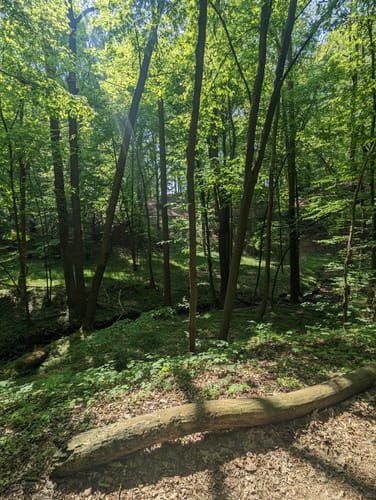 Oberwartha Tännichtgrund