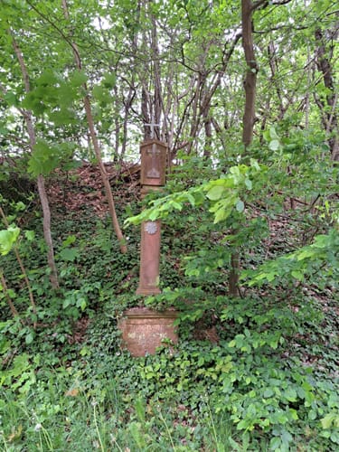 Schwarzer Keiler - Rundweg Wiesen