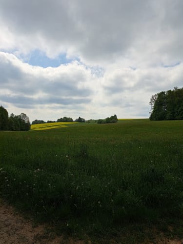 Schwarzer Keiler - Rundweg Wiesen