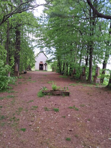 Schwarzer Keiler - Rundweg Wiesen
