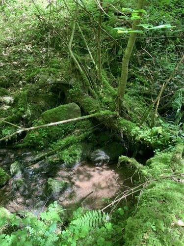 Naturerlebnisweg Ettenheim