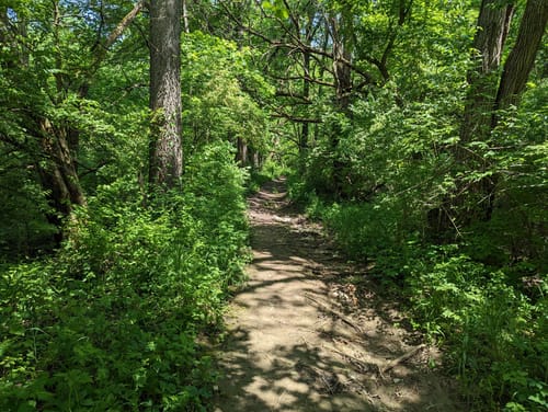 Hueston woods bike trails online