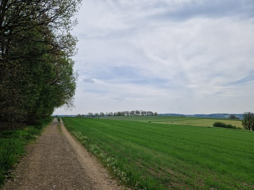 Sauerländischer Gebirgsverein lwn A3