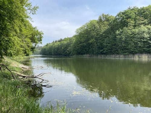 Mittelsee und Langer Haussee