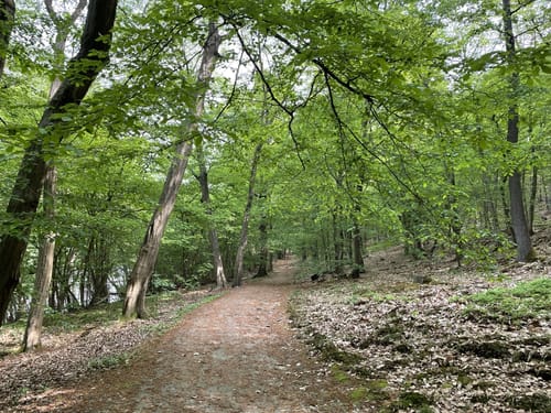 Mittelsee und Langer Haussee