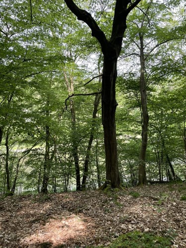 Mittelsee und Langer Haussee
