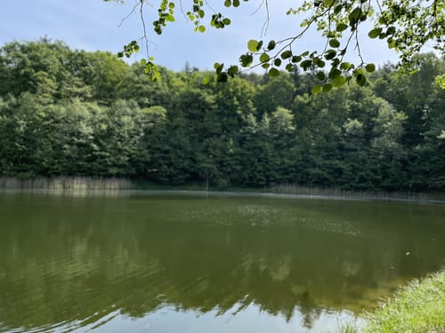 Mittelsee und Langer Haussee