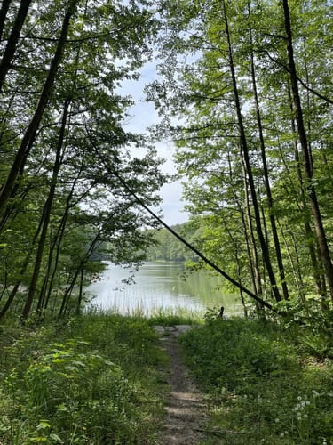 Mittelsee und Langer Haussee