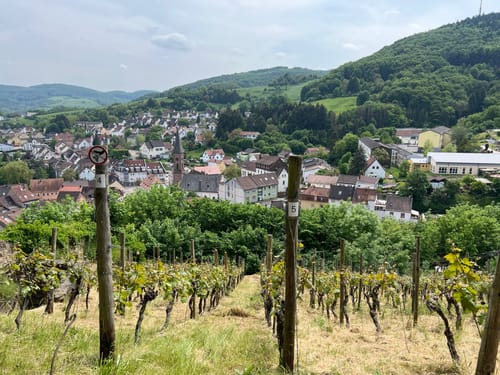 Maikurweg