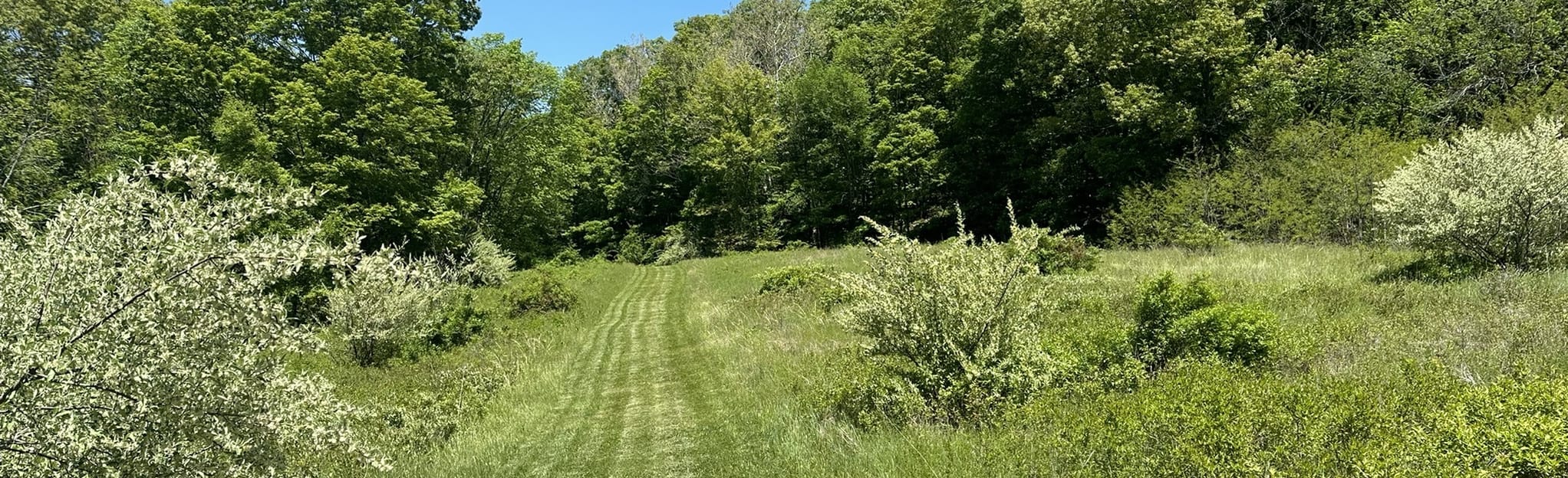 Wilcox Park Red Trail, New York 66 Reviews, Map AllTrails