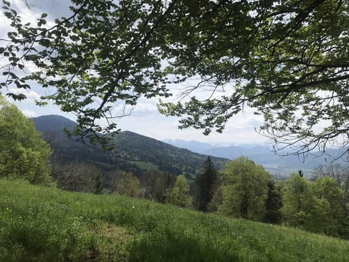 Wanderung zur Sonntratn (Schürfenkopf)