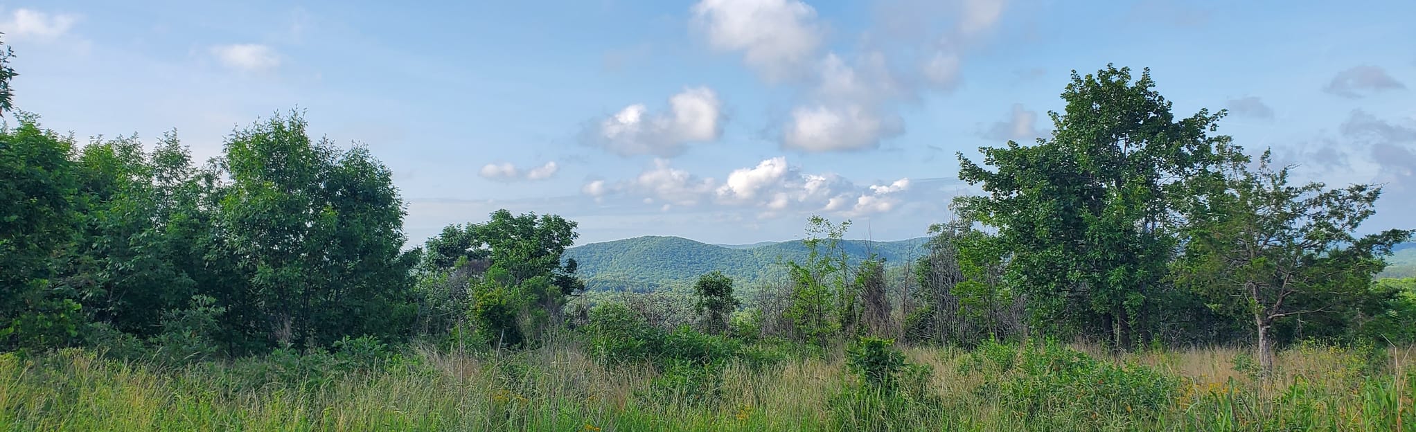 Uwharrie Trail from Jumping Off Rock 349 Reviews, Map North Carolina