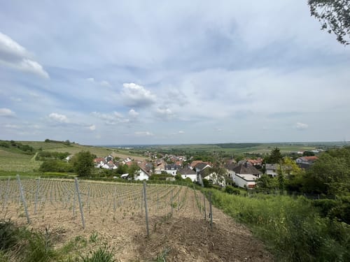 Panoramaweg Gau-Bischofsheim