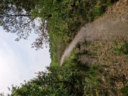 Kiessee Münkeboe ab Eversmeer