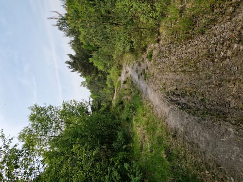 Kiessee Münkeboe ab Eversmeer