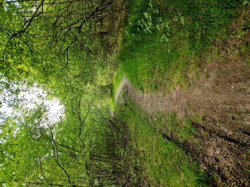Kiessee Münkeboe ab Eversmeer