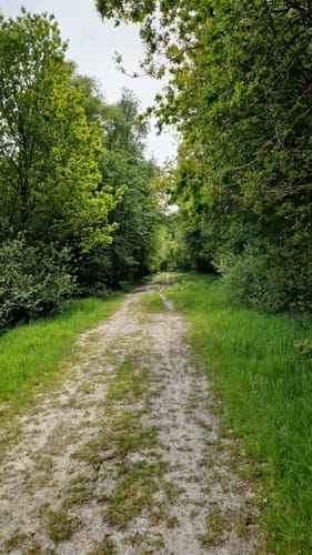 Kiessee Münkeboe ab Eversmeer