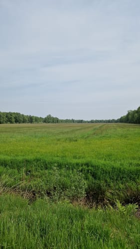 Kiessee Münkeboe ab Eversmeer