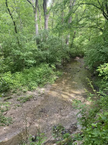 Escape to the Heartland: A Guide to Mackinaw River State Fish and Wildlife Area