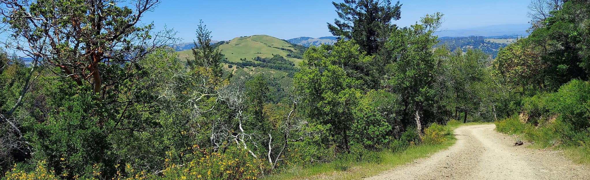 Eldridge Grade Fire Road 41 Reviews, Map California AllTrails