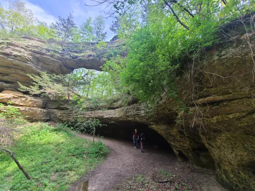 are dogs allowed at natural bridge state park wi