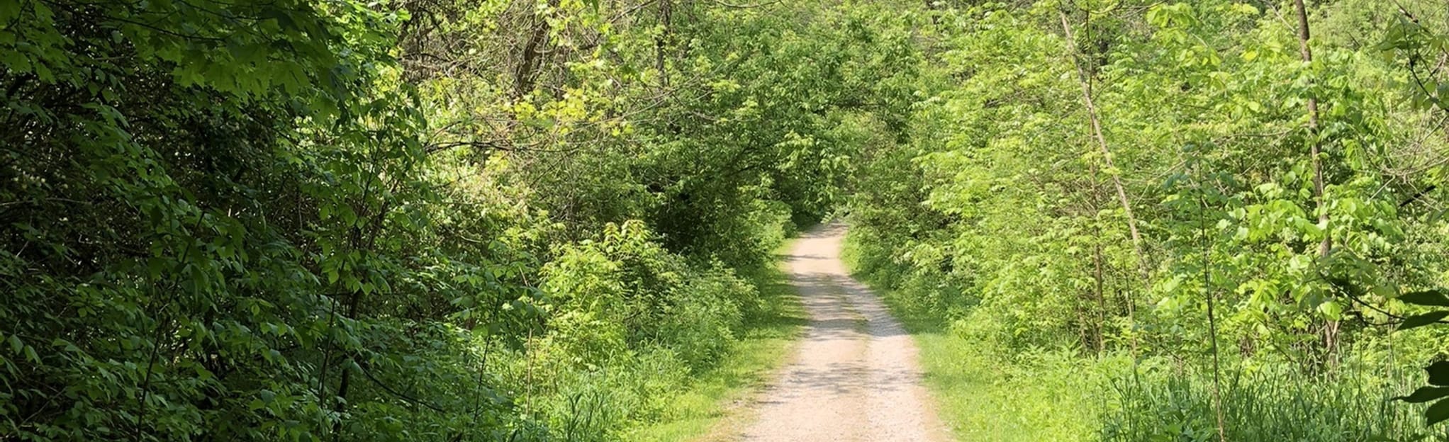 Terrace Trail, Ohio 308 Reviews, Map AllTrails