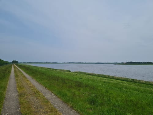 Rund um den Alfsee