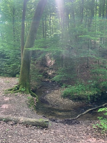 Weltersbachtal Rundweg A2