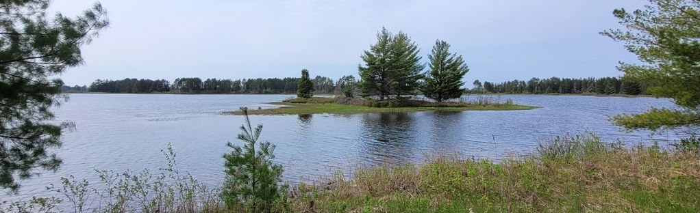 are dogs allowed at seney wildlife refuge