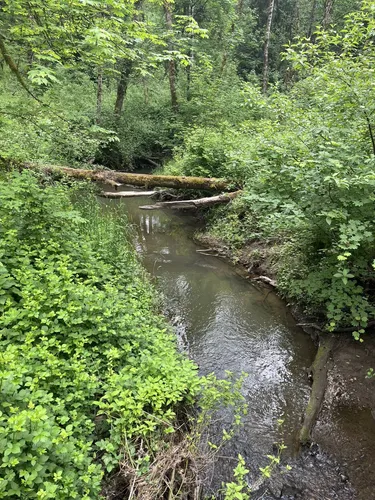 10 Best Hikes and Trails in Tryon Creek State Natural Area | AllTrails
