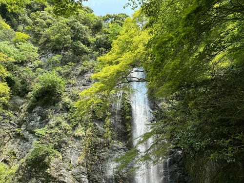 箕面山 - hikes and trails to get you there | AllTrails