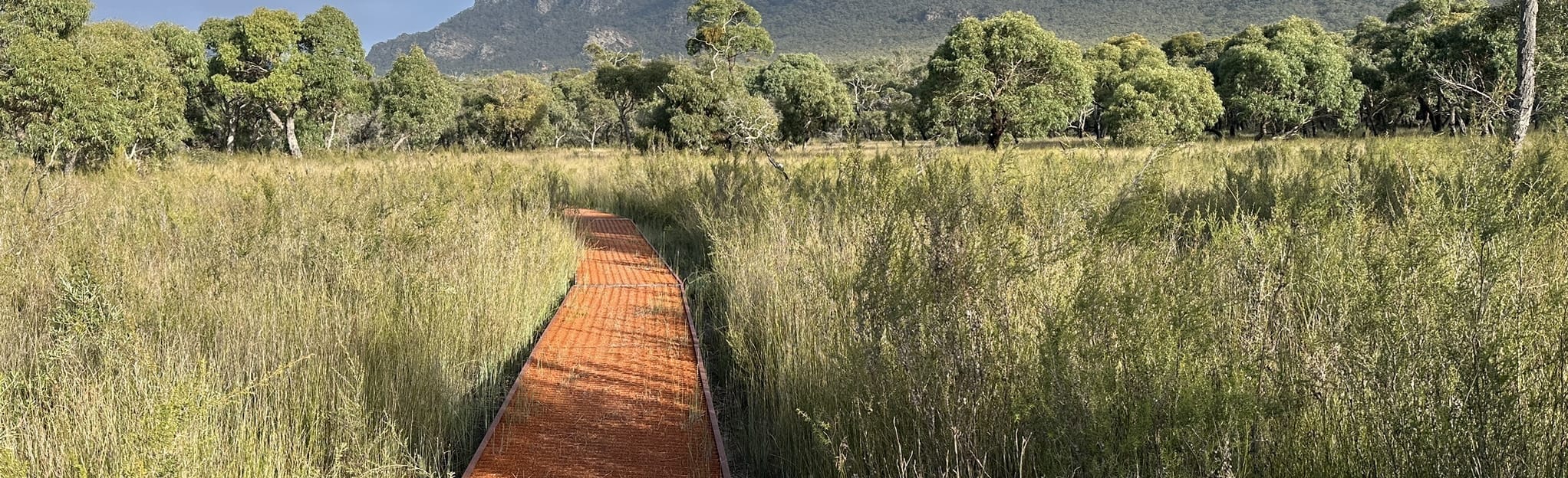 Grampians Peaks Trail Section S2 Wannon to Djardjidjawara 164