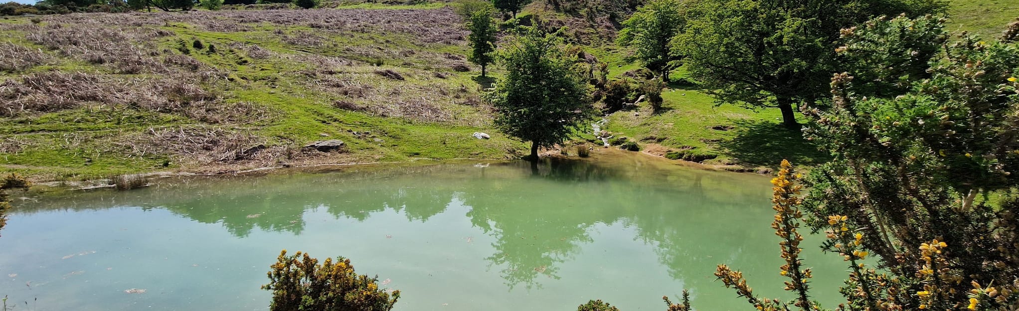 Caradon Hill and the Copper Mines 50 foto Cornwall, Inghilterra
