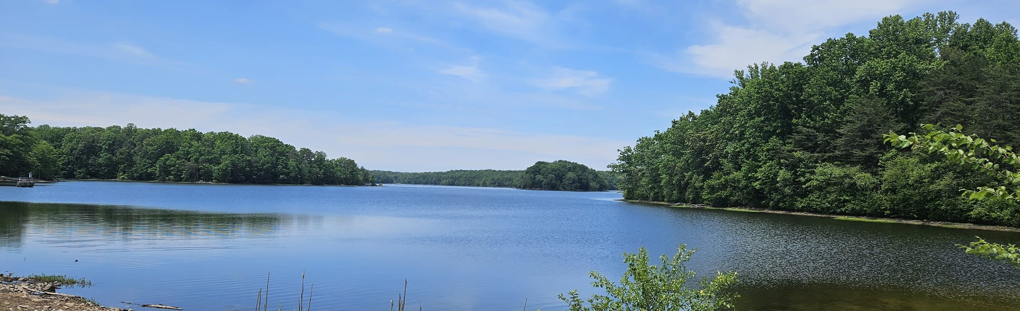 burke-lake-trail-1-594-photos-virginia-alltrails