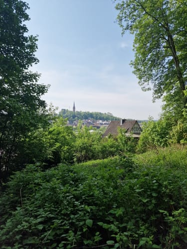 Um den Tierpark Frankenberg