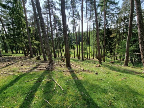 Um den Tierpark Frankenberg