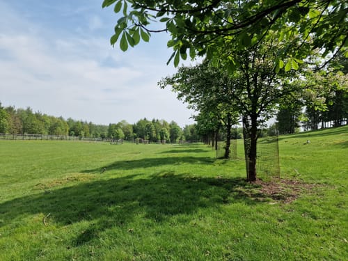 Um den Tierpark Frankenberg