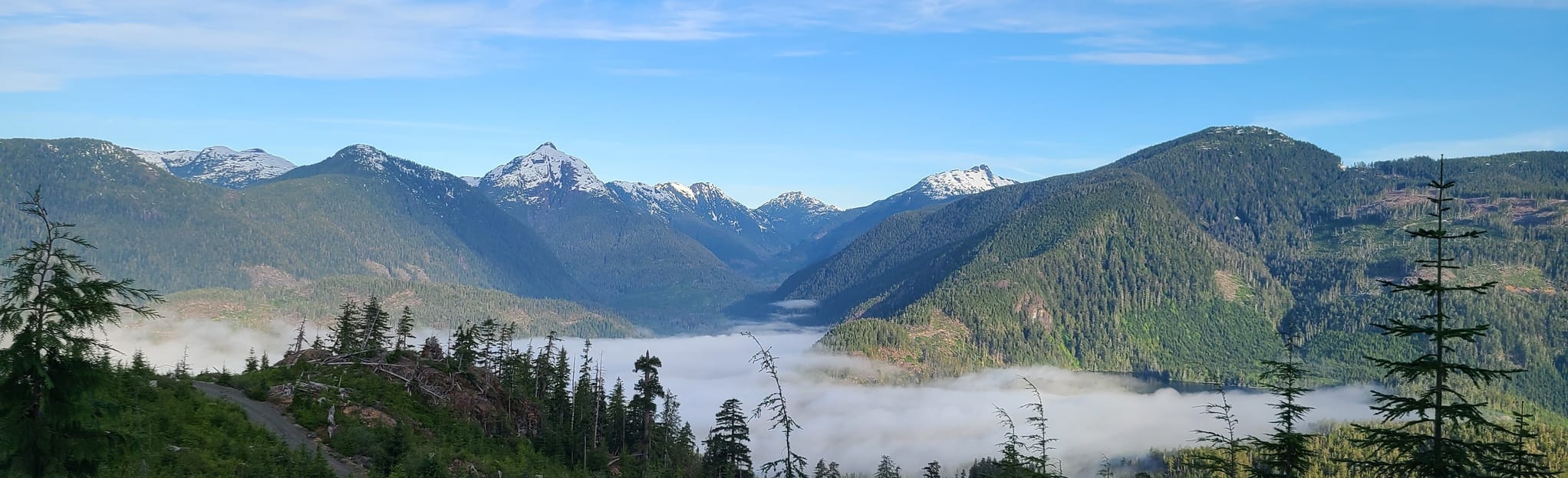 Mount Anderson, British Columbia, Canada - 15 Reviews, Map | AllTrails