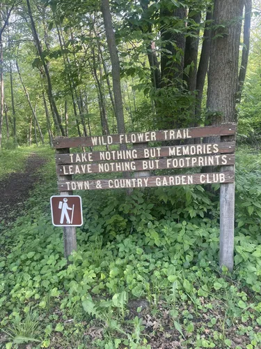 Rural Escapes: 5 Scenic Hiking Trails in Webster City - Iowa