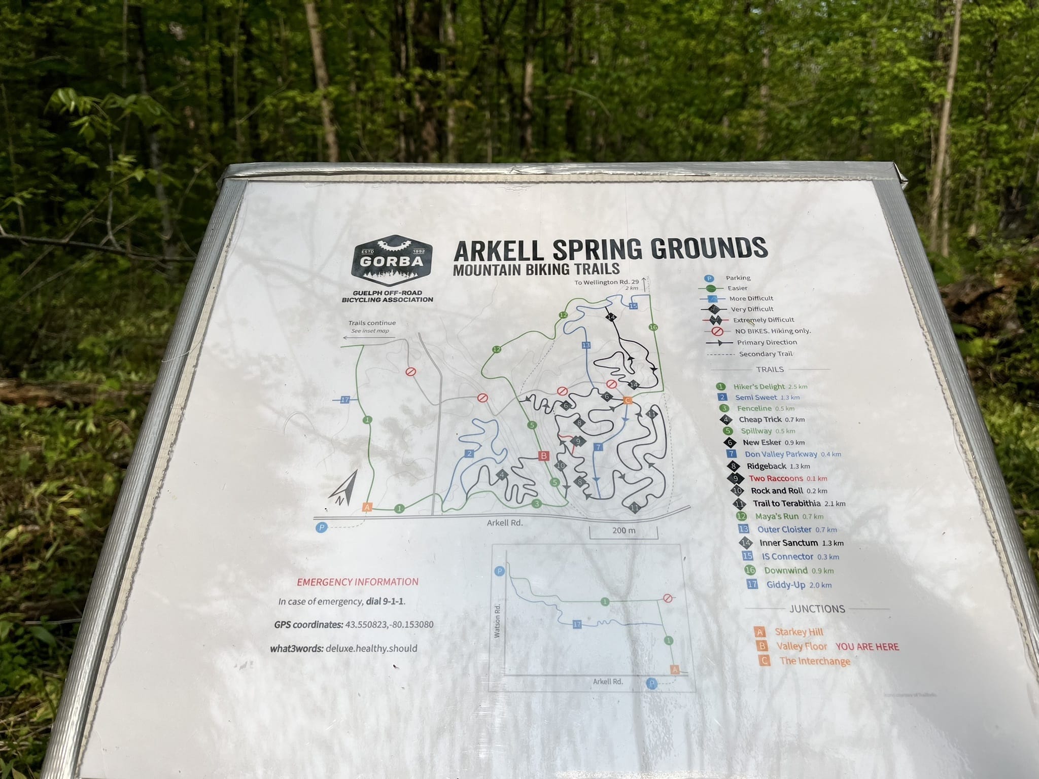 Gorba trails cheap