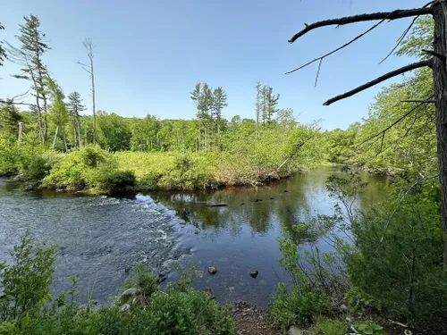 Best 10 Hikes and Trails in Sleeping Giant State Park | AllTrails