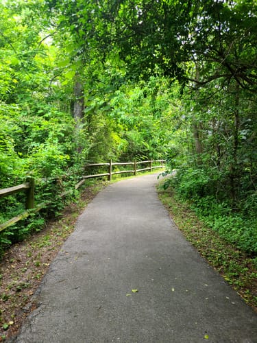 Best Hikes and Trails in Neuse - EyJidWNrZXQiOiJhc3NldHMuYWxsdHJhaWxzLmNvbSIsImtleSI6InVwbG9hZHMvcGhvdG8vaW1hZ2UvNTk4NjQzNzQvZGRjYTlhOWMzNGIwNzEyMWNhZmVjMDhiMjc3YjE5ZjMuanBnIiwiZWRpdHMiOnsidG9Gb3JtYXQiOiJqcGVnIiwicmVzaXplIjp7IndpZHRoIjo1MDAsImhlaWdodCI6NTAwLCJmaXQiOiJpbnNpZGUifSwicm90YXRlIjpudWxsLCJqcGVnIjp7InRyZWxsaXNRdWFudGlzYXRpb24iOnRydWUsIm92ZXJzaG9vdERlcmluZ2luZyI6dHJ1ZSwib3B0aW1pc2VTY2FucyI6dHJ1ZSwicXVhbnRpc2F0aW9uVGFibGUiOjN9fX0=