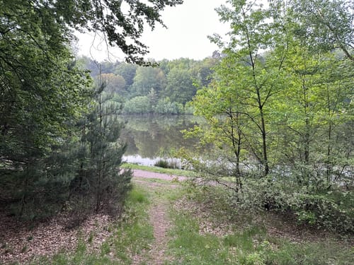 Waldlaufparcours Kaiserslautern Rot