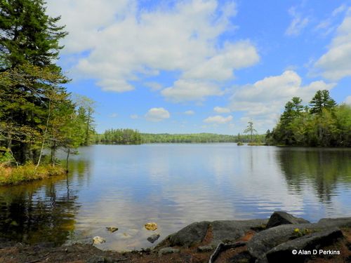 Best Hikes and Trails in Grafton Pond Reservation | AllTrails