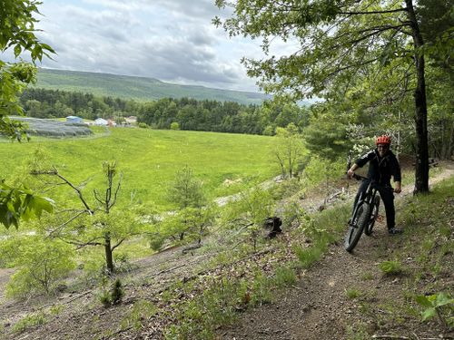 Lippman park mountain online biking